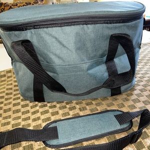 Large sage insulated cooler NWOT
